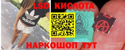 MDMA Premium VHQ Новозыбков