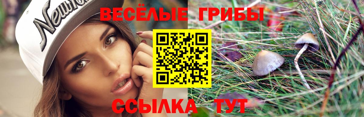 Галлюциногенные грибы ЛСД  Вход с VPN  Сызрань 